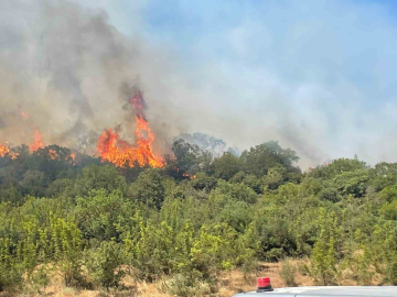 Yenişehir’deki yangının dumanları Bursa’dan görülüyor