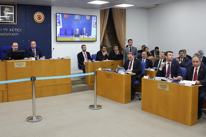 TBMM Plan ve Bütçe'de Türkiye Varlık Fonu'nun denetim raporları görüşülüyor