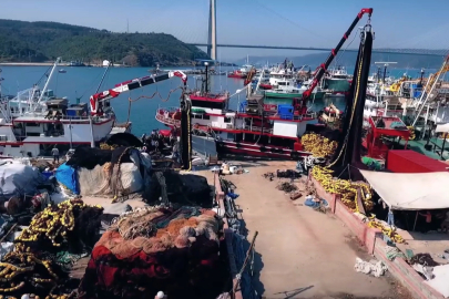 Hamside rekor sezon... 245 bin ton avcılıkla bereketli kapanış